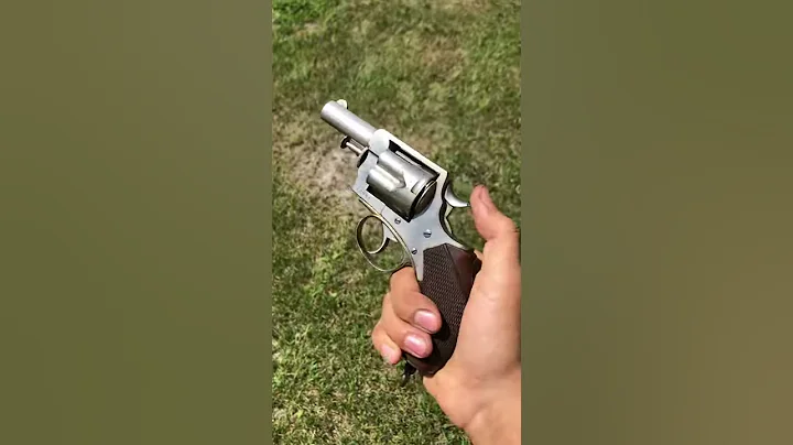 Webley RIC Model 1883/86: from Roger G Michauds pe...