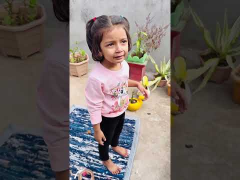 Tooktook aur papa patnag udane ki tayari kar rhe