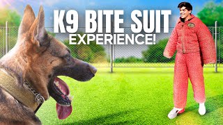 I Jumped in a K9 Bite Suit in South Korea!