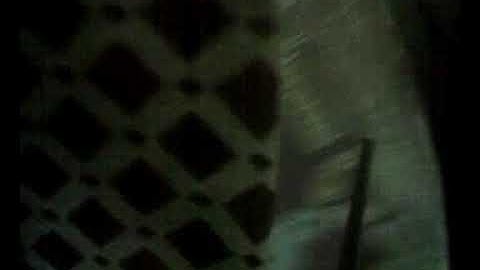 الشيخ حسن علي من اجمل القراءات من سورة النمل