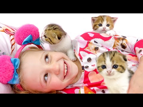 Video: Je! Kitten Inapaswa Kuonekana Kama