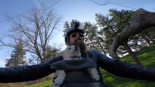 Winnie's first ride by Tyler Booth 42 views 12 days ago 1 minute, 57 seconds