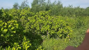 NVT897  Bán đất 90m mặt đường nhựa Suối Rao giá 240tr sào dt 1,4ha