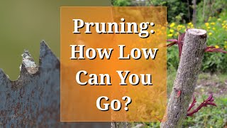 Pruning: How Low Can You Go?