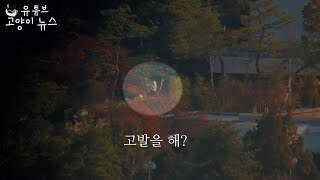김건희 관저 개산책 풀버전 공개합니다 도망가는 윤석열
