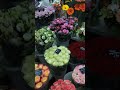 разные цветы на москве