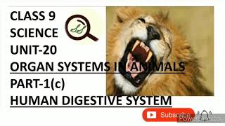 CLASS 9 SCIENCE UNIT-20 ORGAN SYSTEMS IN ANIMALS PART-1(c) DIGESTIVE SYSTEM stomach-small intestine