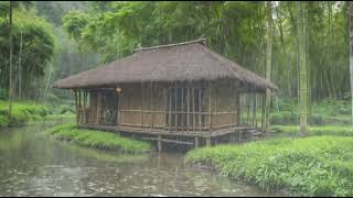 Relaxing Rain to Sleep - Riverside Hut: Rainy Day Relaxation