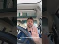 ДТП із невідомим деревом