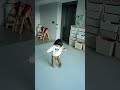 [딸쌍둥이 인생 36개월차] 빙글빙글 선둥이