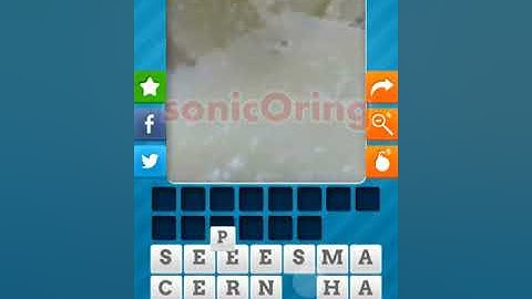 Close Up Food Level 4 Answers