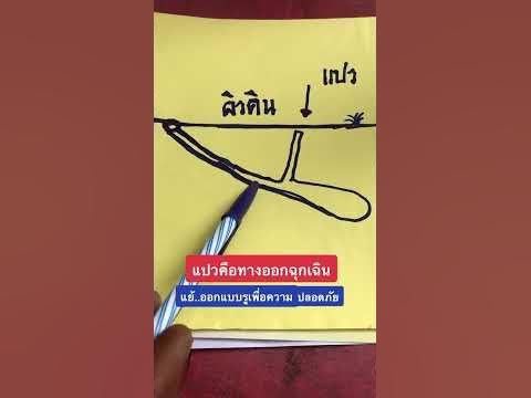 แปวคืออะไร ทางออกฉุกเฉินของแย้ #shortvideo #shorts #ชัดเจนรักษ์ไทย #แย้ ... แปวคืออะไร ทางออกฉุกเฉินของแย้ #Shortvideo #Shorts #ชัดเจนรักษ์ไทย #แย้ ...