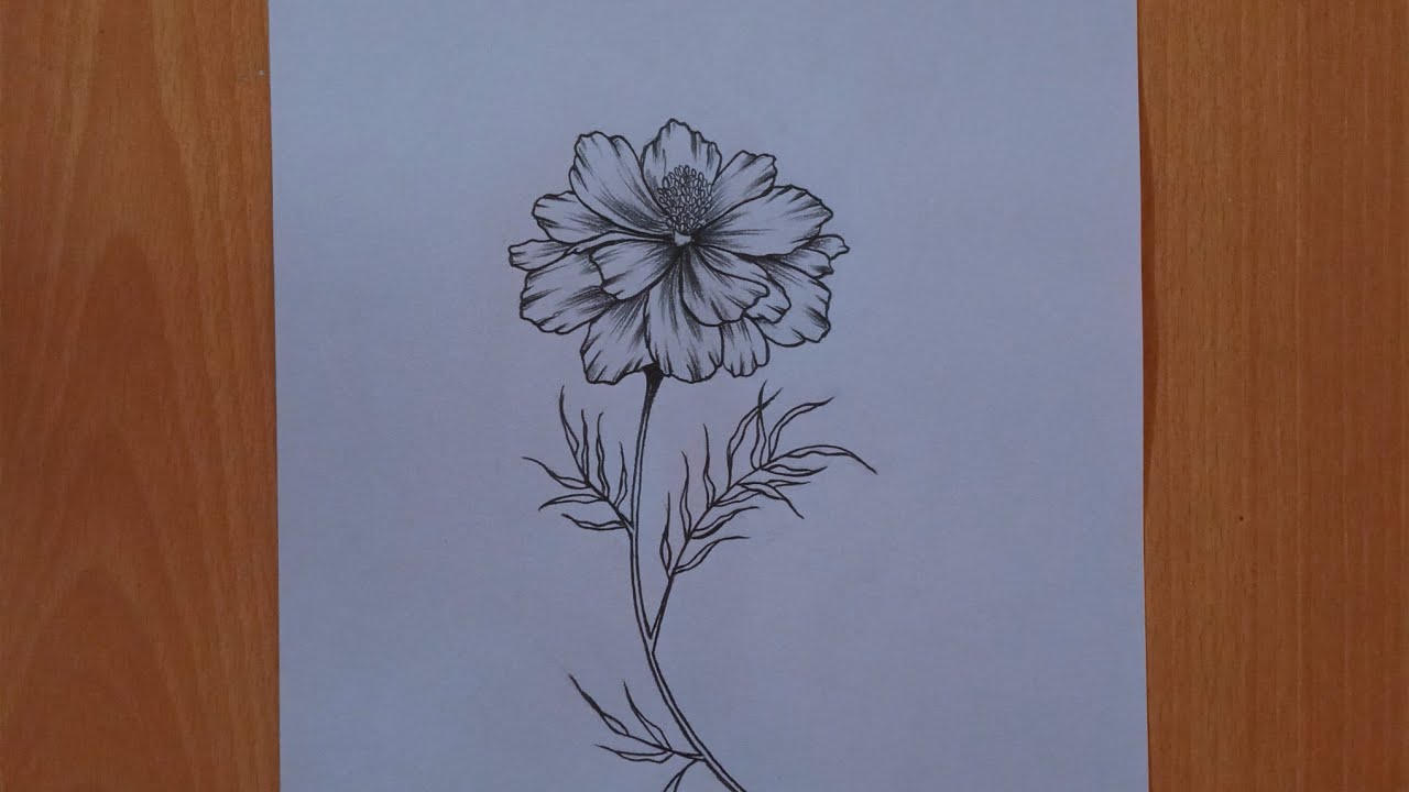 Flower drawing tutorial for beginners..   Step by step Pencil drawing..HD pencil drawing tutorial.