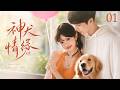 《神犬情緣》01:她追愛男神慘遭神犬拆台,誰料冤家救生員竟把她寵成命!💕#王安宇 #田曦薇  #中国电视剧 #爱情  #爽剧   #都市甜宠 #言情剧 #drama  #高颜值甜剧