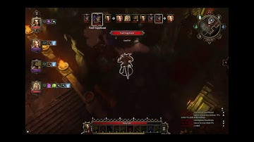 Divinity: Original Sin Enhanced Edition - 25 - Luculla forest clean-up