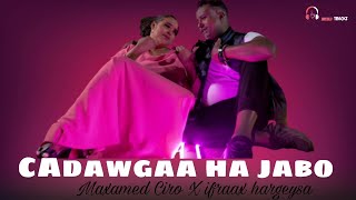 MAXAMED CIRO & IFRAAX HARGEYSA - CADAWGAA HA JABO [OFFICIAL VIDEO] somali music band