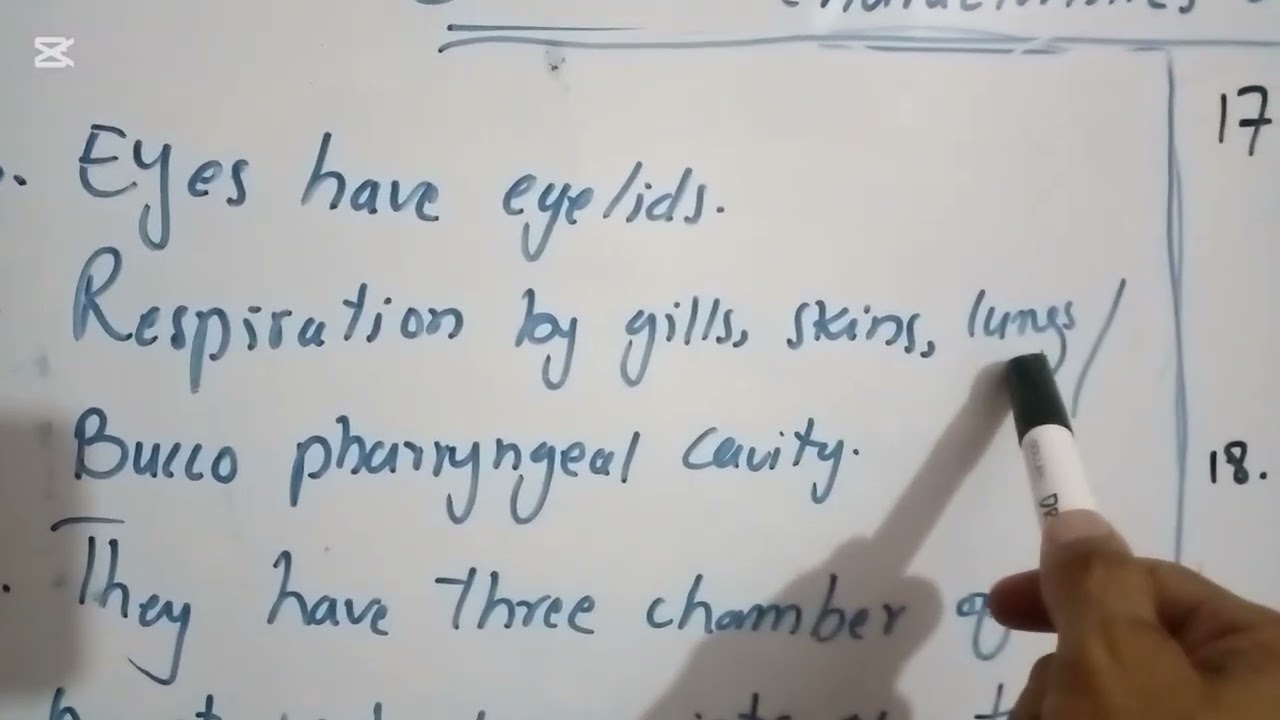 General characteristics of class Amphibia.