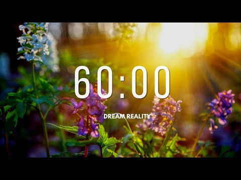 One HOUR 60 Minute Timer Relaxing Music and Alarm