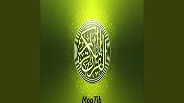 عامر الكاظمي سورة الحشر