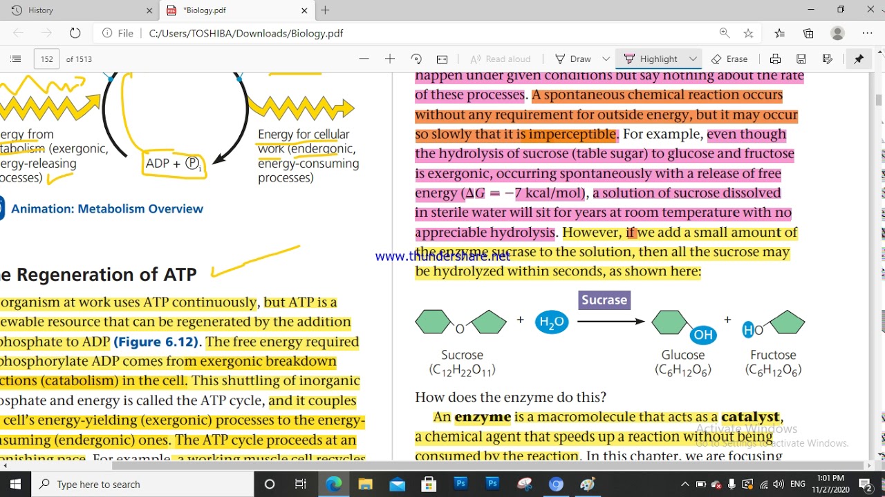 Chapter 6 : Energy and life 3 : Enzymes 1
