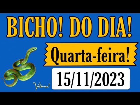 Palpite dia 15/11/2023 - JOGO DO BICHO TODAS AS LOTERIAS 