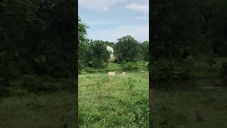 Blowing up 5 pounds of Tannerite - .338 API round #tannerite #explosion #shockwave #july4th