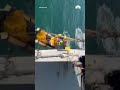 15-year-old rescued after surviving days at sea following boat capsize in Alaska