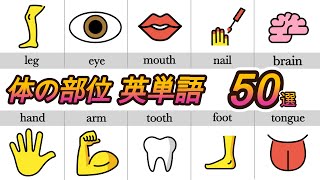 【体の部位】 英単語50選｜英語音声×映像で学ぶ簡単レッスン screenshot 5
