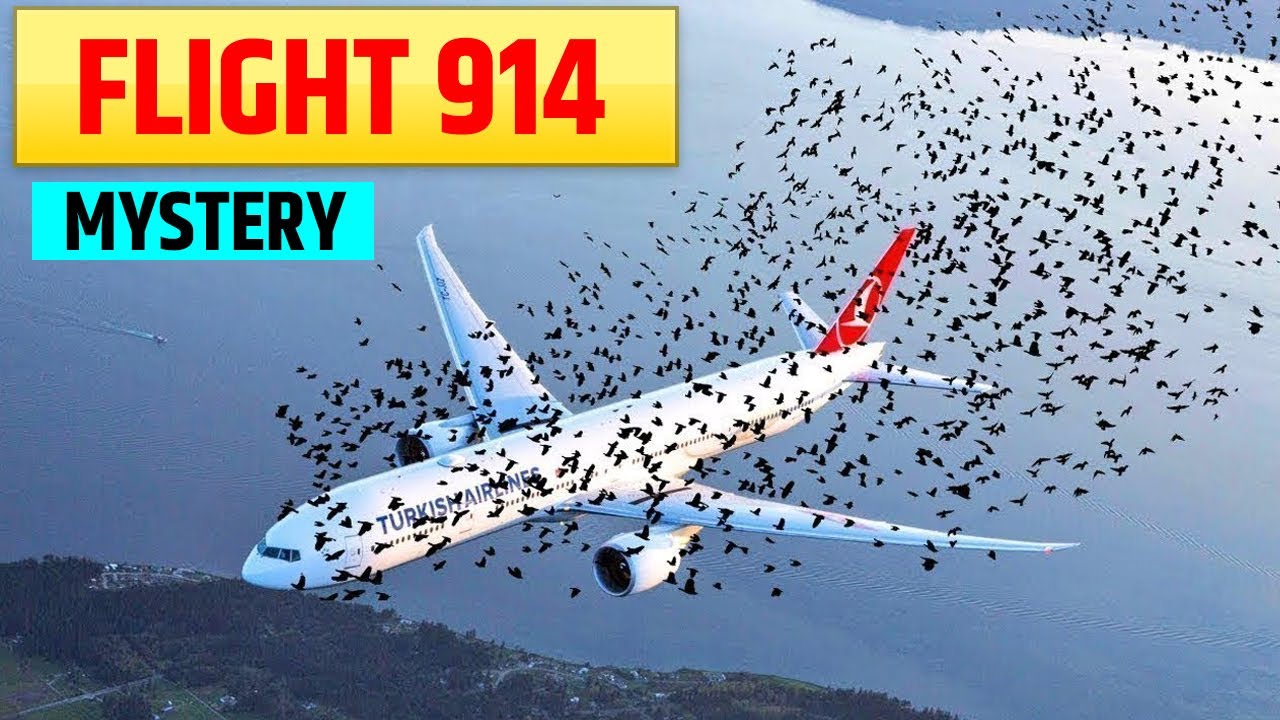 flight 914 movie review