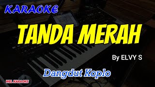 TANDA MERAH - ELVY S - KARAOKE DANGDUT KOPLO