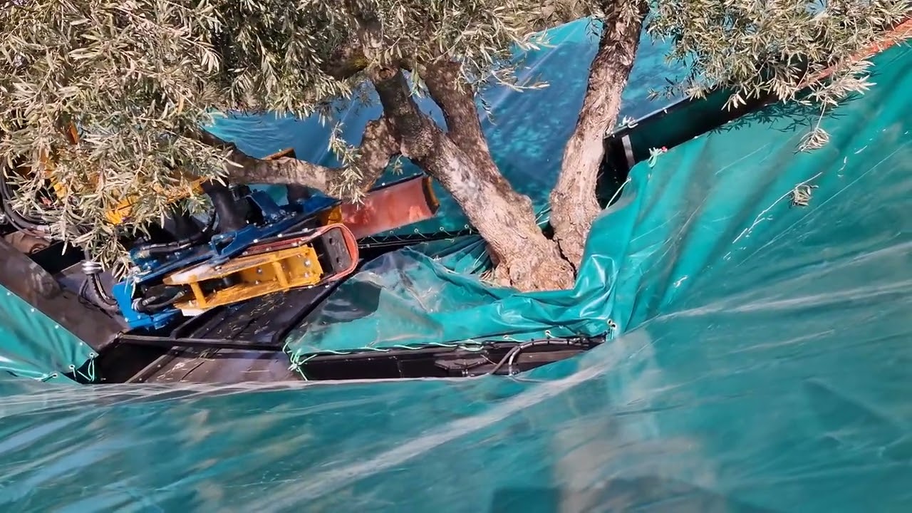 Videlsur. Equipo R82 ( Maximo ) para olivar tradicional