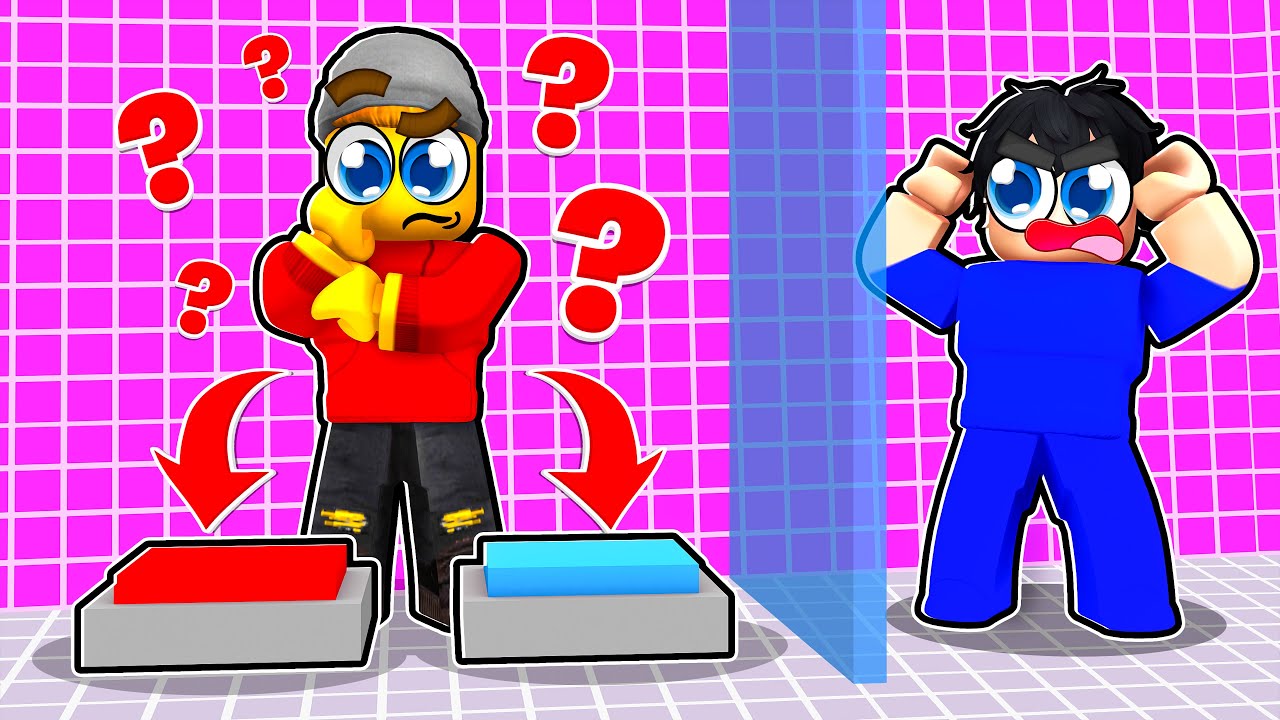 ברחנו בעזרת עבודת צוות ברובלוקס!