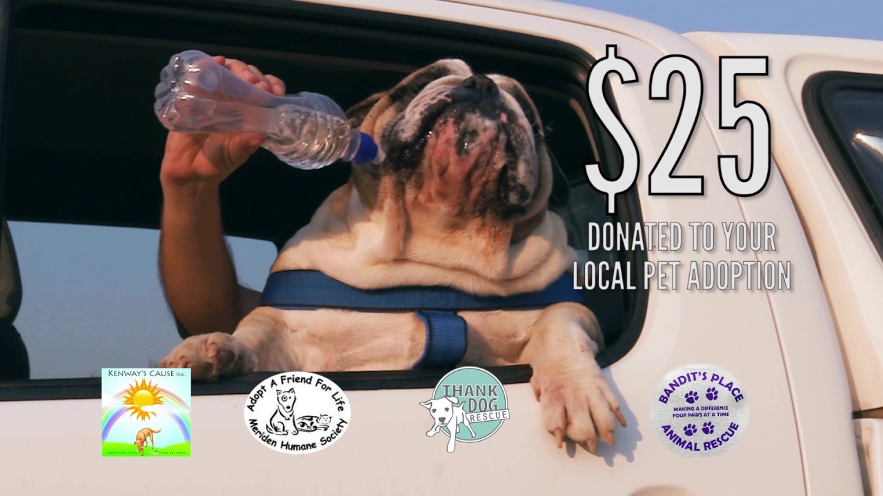 Looking for a certified pre-owned vehicle? Liberty Mazda has what you need!