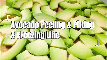 Avocado Processing Line | Automatic Peeling, Pitting, Dicing & IQF Freezing Machine