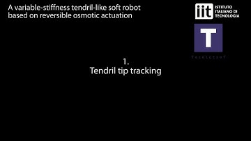 A variable-stiffness tendril-like soft robot based on reversible osmotic actuation.
