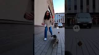 Времена были тяжелые #кот #котейка #gopro