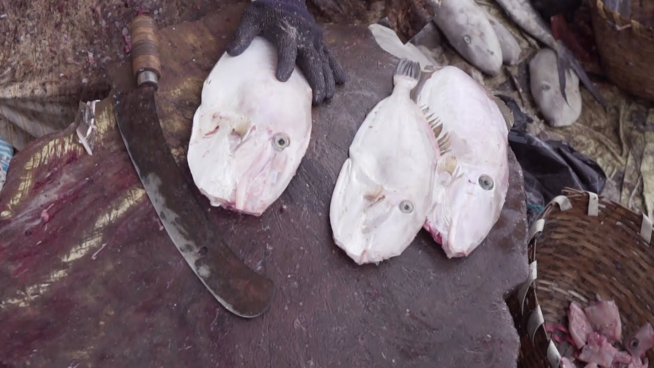 Leather Jacket fish Cutting&Chopping in the Indian fish market - YouTube