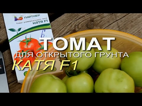 КАТЯ F1 для открытого грунта! ОБЗОР СОРТОВ ТОМАТОВ! Советы от ЗЕЛЕНОГО ОГОРОДА!