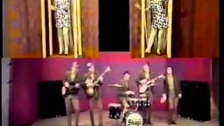 The Shags - Meet Me at Bergner's TV Commercial - 1960's