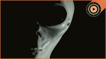Roswell: The Secret the Government Can