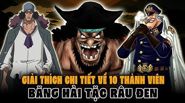 Giải Thích Chi Tiết 10 Thành Viên Của Băng Hải Tặc Râu Đen Trong One Piece