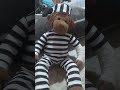 prisioneiro fugiu da prisão essa manhã