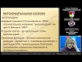 Митохондриальная патология. Синдром Кернса-Сейра. Демо-версия