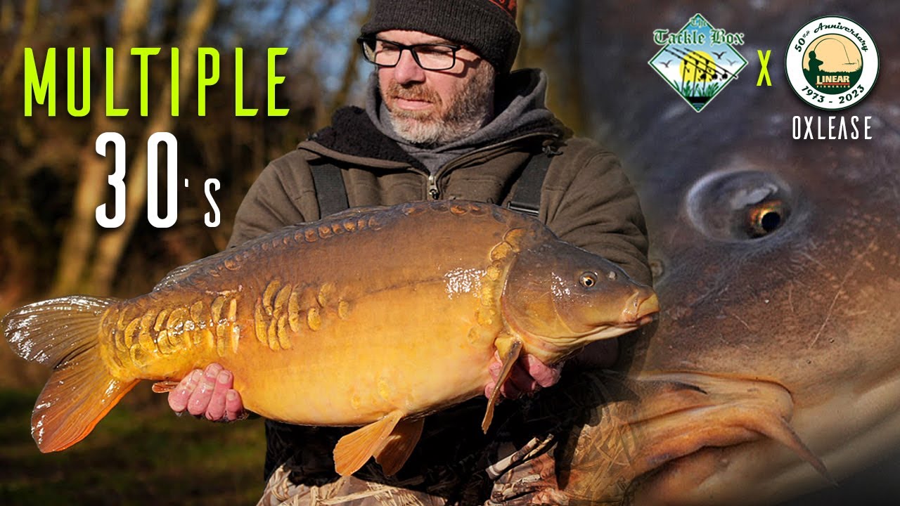 Big Hit Carp Fishing At Linear Fisheries! (Big Carp) - TB On Tour Ep1
