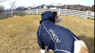 レインドッグガード撥水実験！