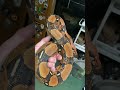 Blood boa imperator #snake #amazing #reptiles #animal #animals #snakes #pets #colors #quality