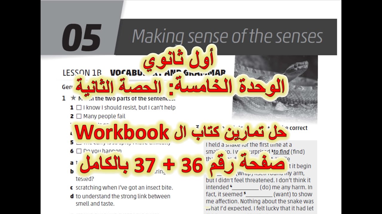 الأول ثانوي - جيل 2009 - الوحدة الخامسة - الحصة الثانية - حل تمارين كتاب ال workbook صفحة 36+37