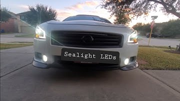 Sealight H11 fog lights review and install on Maxima #ledlights
