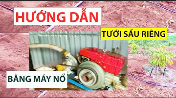 Hướng dẫn lắp đặt  hệ thống tưới  sầu riêng đồi dốc  bằng  máy  nổ  /qm
