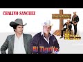 Chalino Sanchez - Miguel y Miguel - El Tigrillo Palma || 20 Exitos Corridos Mix